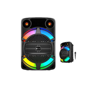 مكبر صوت مع مكرفون