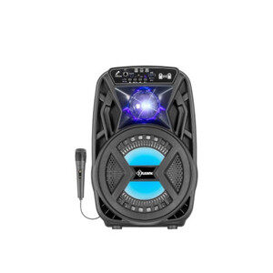 مكبر صوت مع مكرفون